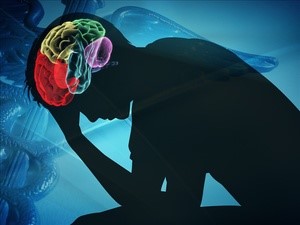 Brain