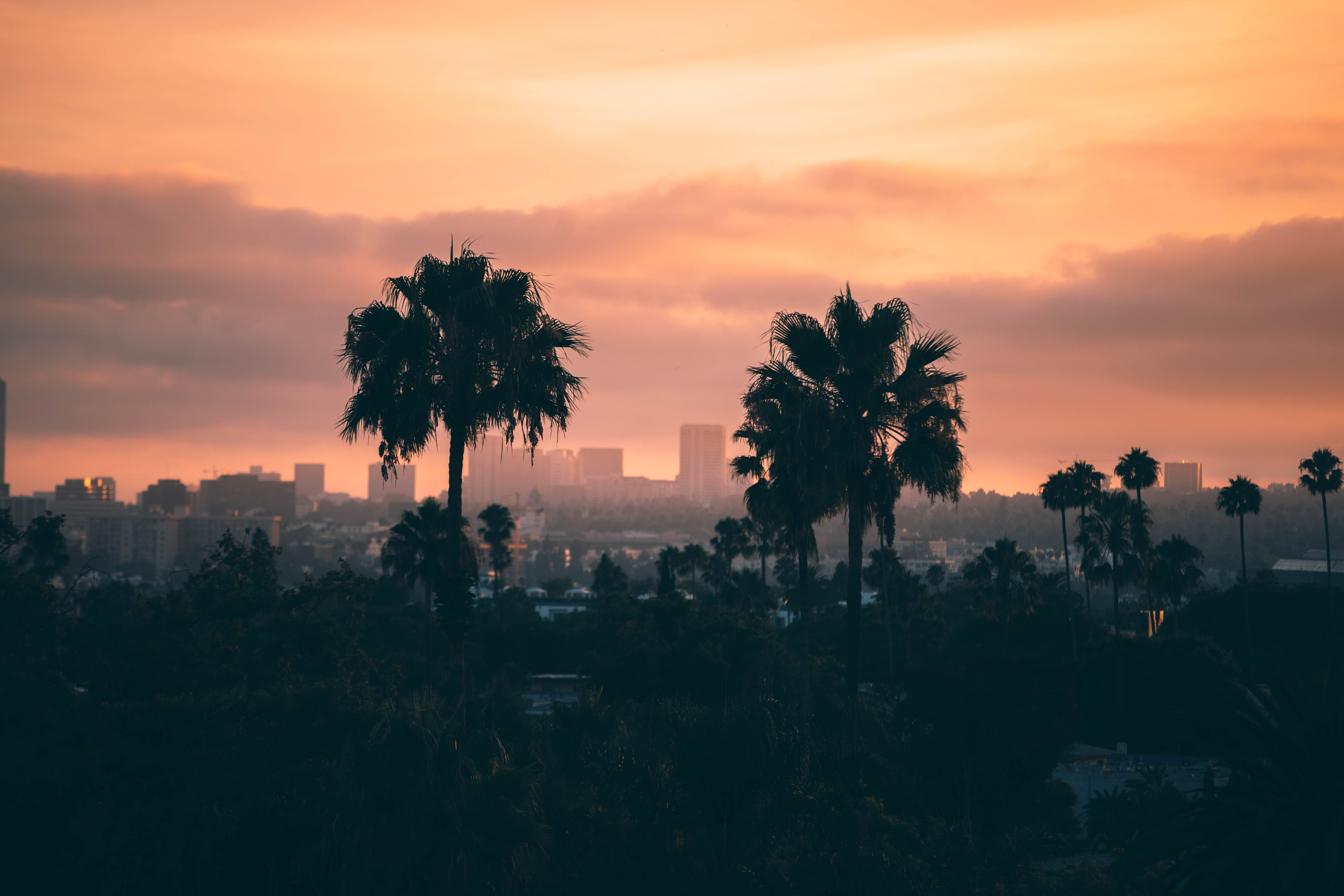 Canva - City Buildings and Trees during Golden Hour