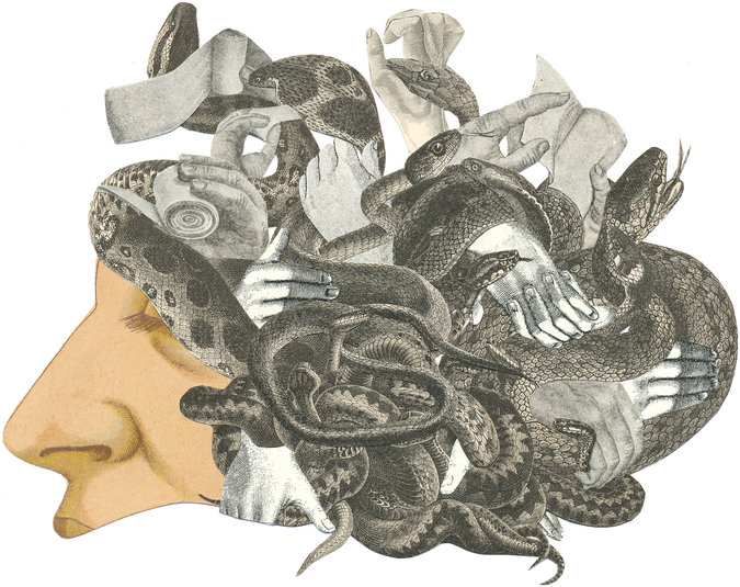 brain2
