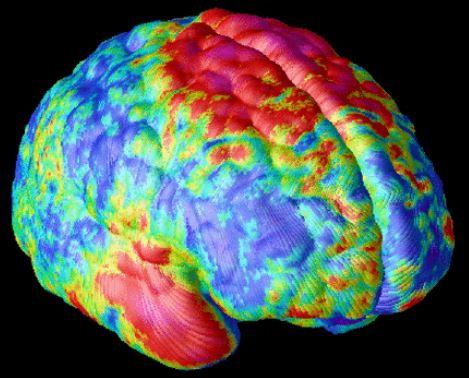 brain_scientific