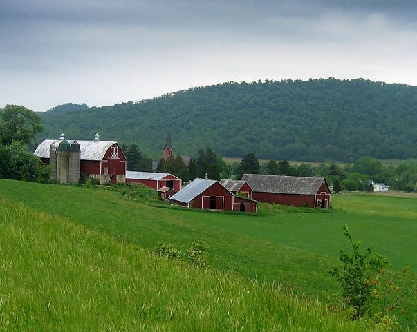 farm