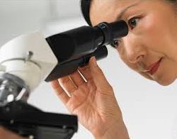 microscope