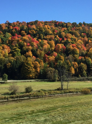 vermont-fall