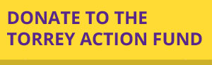 donate-taf